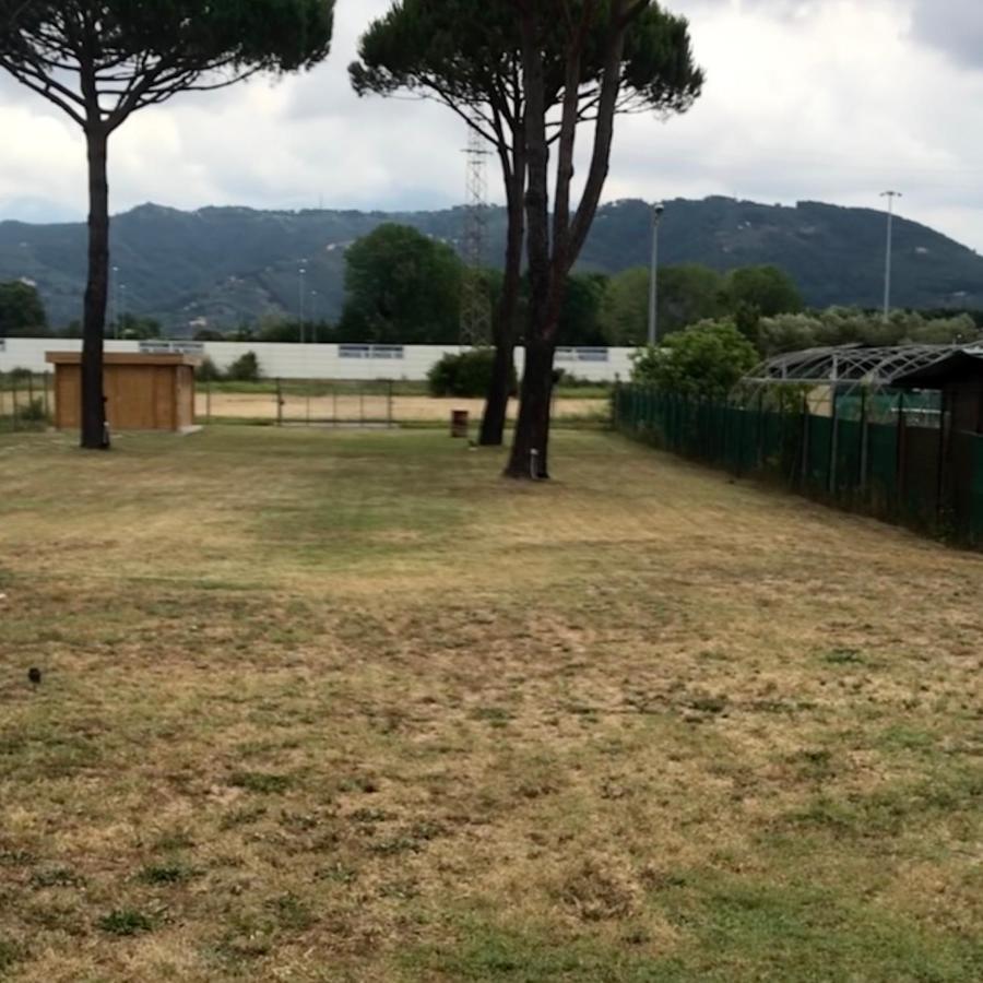 L'Alloggio Del Capitano Viareggio Eksteriør bilde